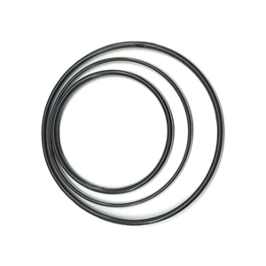 Customized silicone core FEP PFA clear coating encapsulated rubber seal o ring 