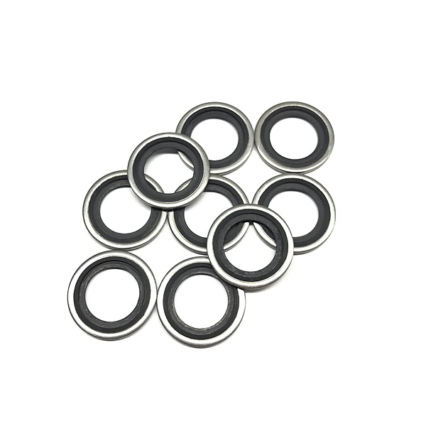 Made in China Wholesale Stainless Steel Rubber NBR Bonded Seals