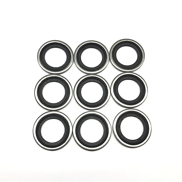 Made in China Wholesale Stainless Steel Rubber NBR Bonded Seals